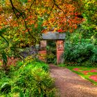 Autumn Walk