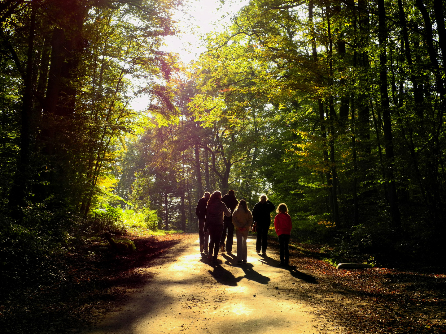 Autumn Walk