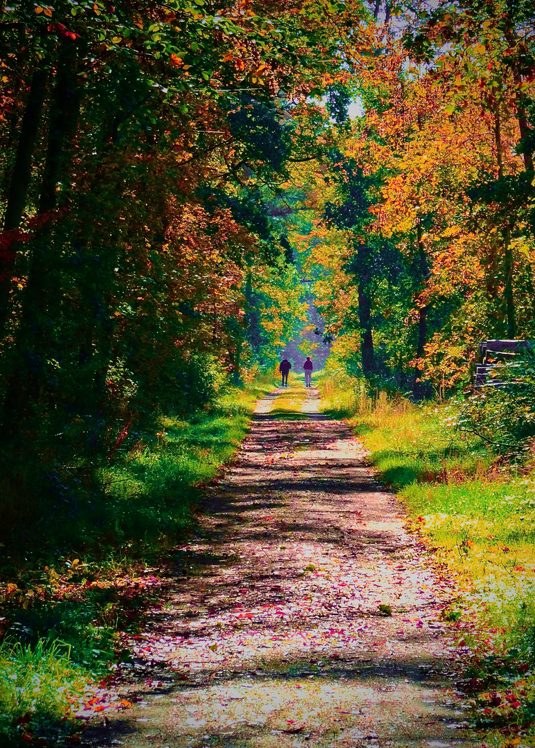 Autumn Walk with crazy Thoughts