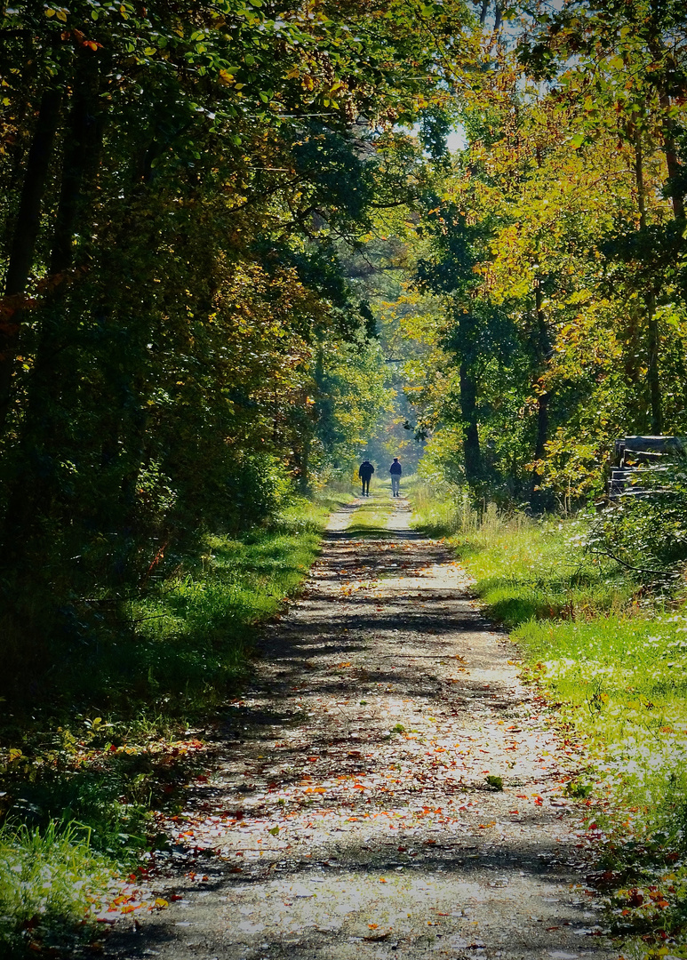 Autumn Walk with happy Thoughts