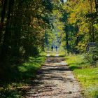 Autumn Walk with happy Thoughts