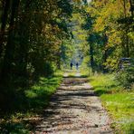 Autumn Walk with happy Thoughts