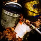 autumn waste