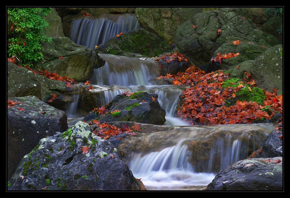 autumn Waterfall