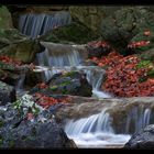 autumn Waterfall
