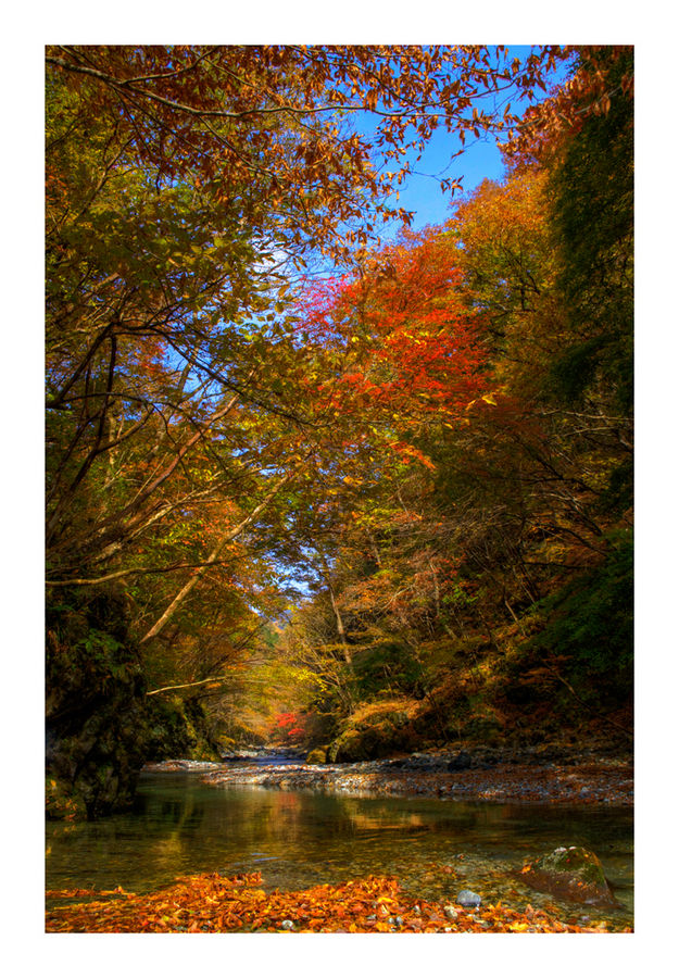 Autumn Waterside