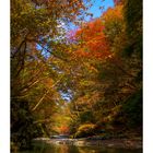 Autumn Waterside