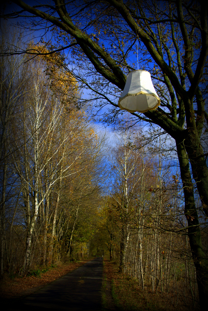 Autumn Way with Available Light