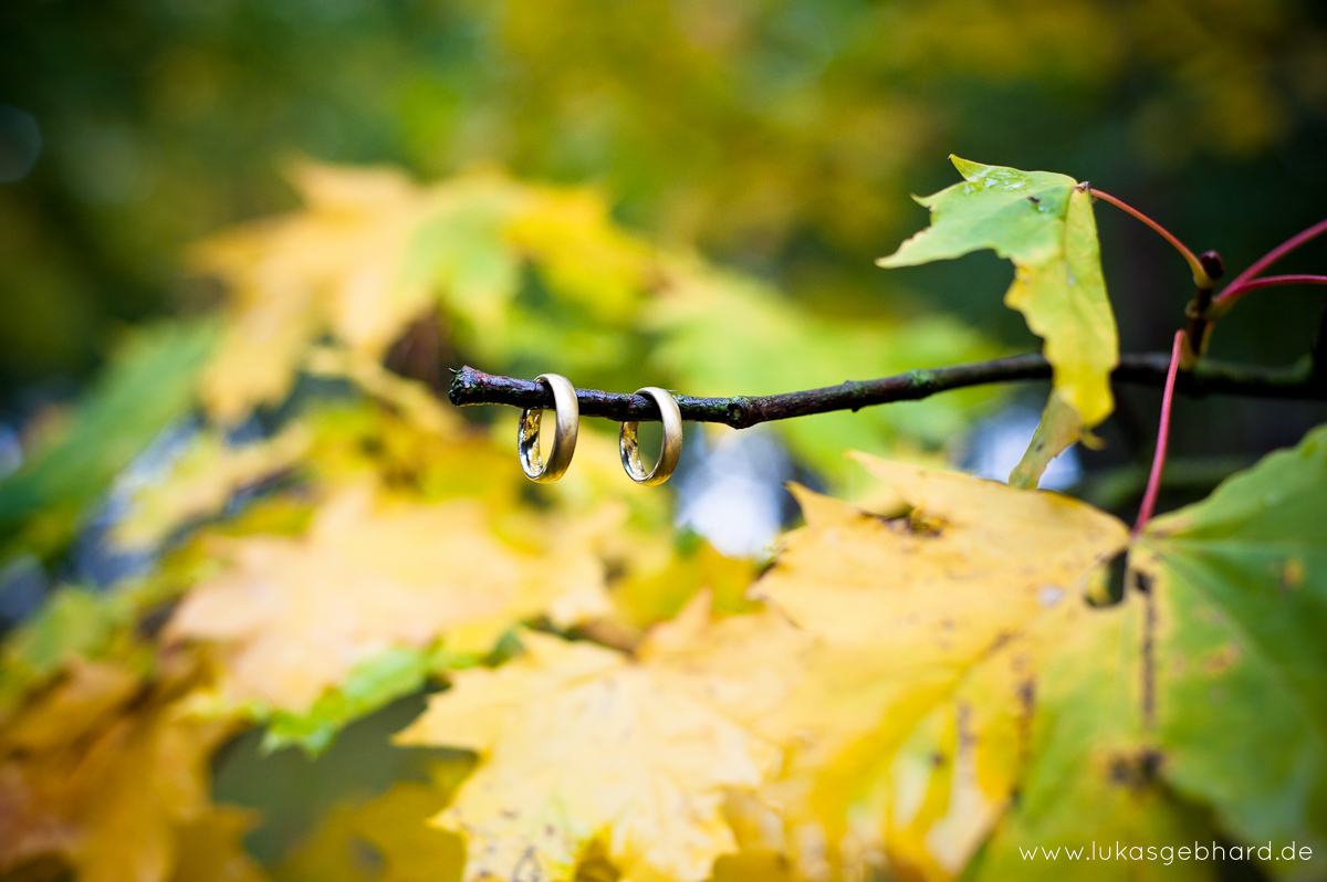 autumn wedding rings