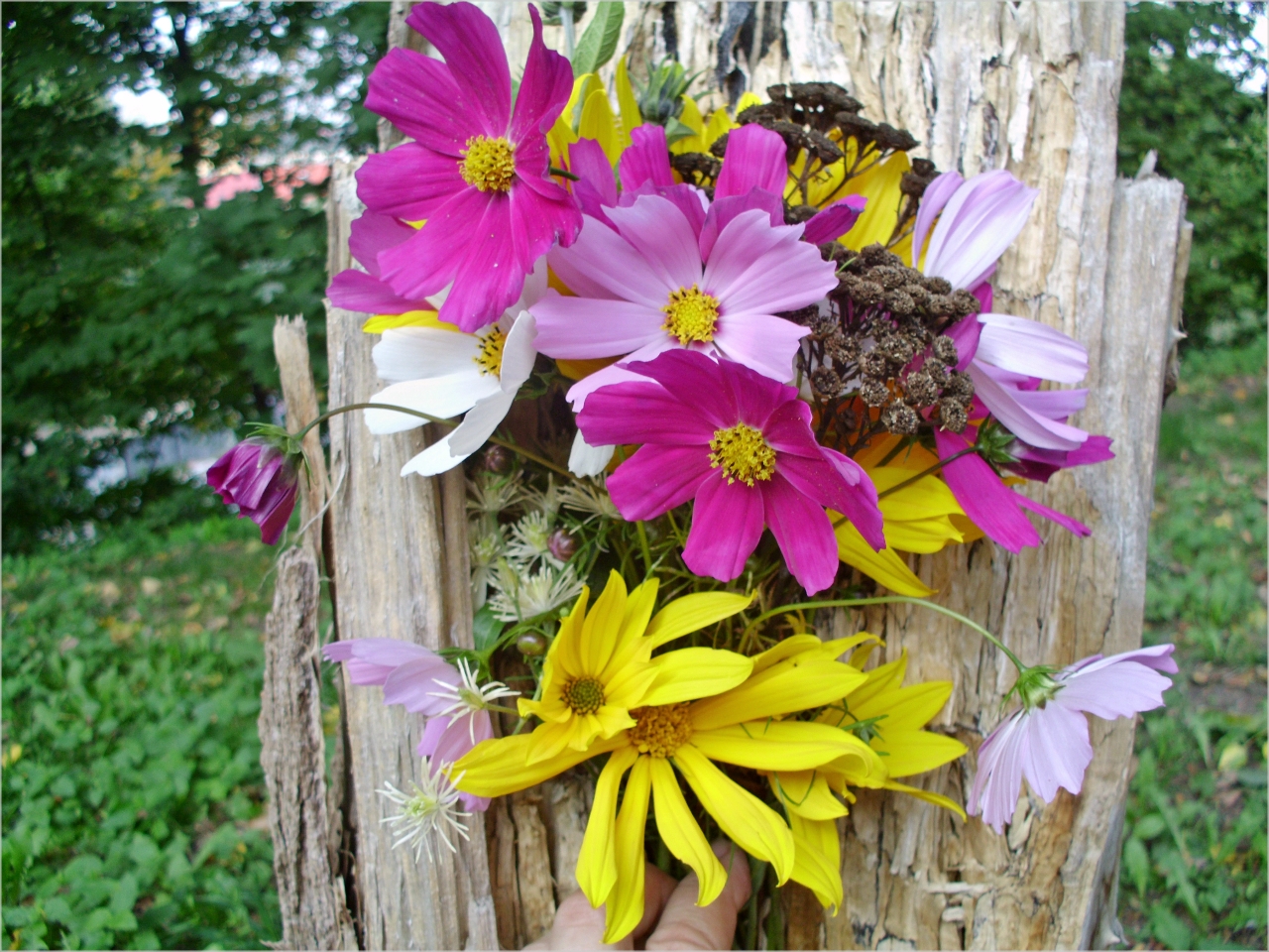 Autumnal bouquet