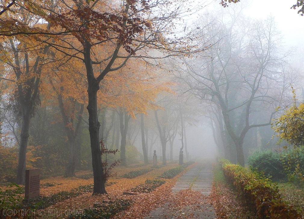 autumnal cemetery