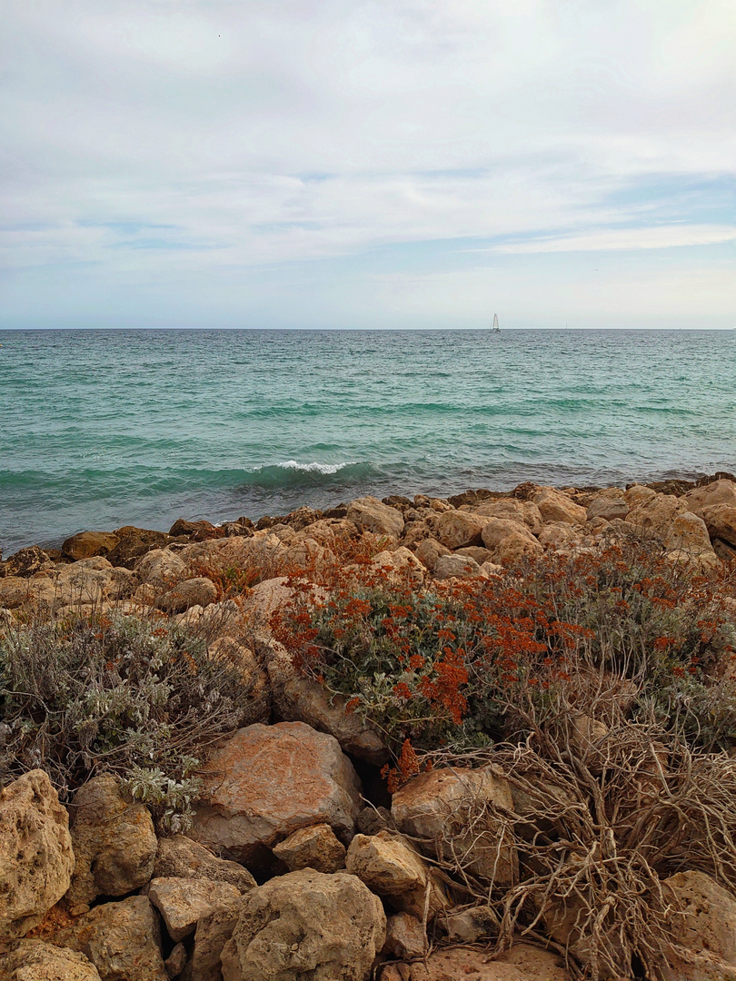 Autumnal composition of Sea