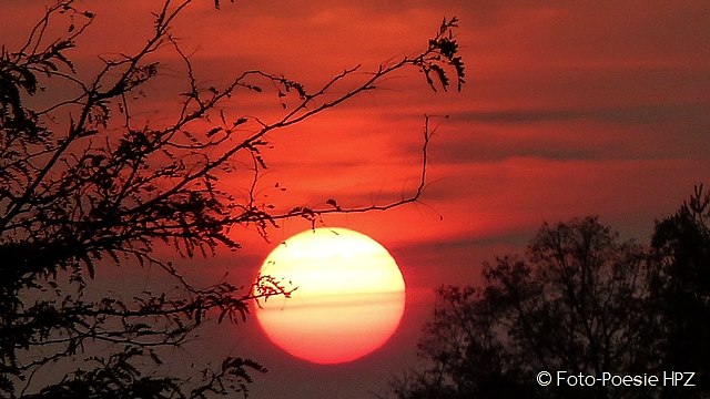 Autumnal evening sun ...