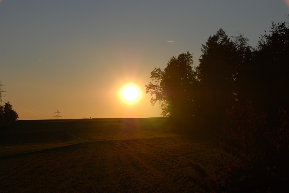 autumnal field