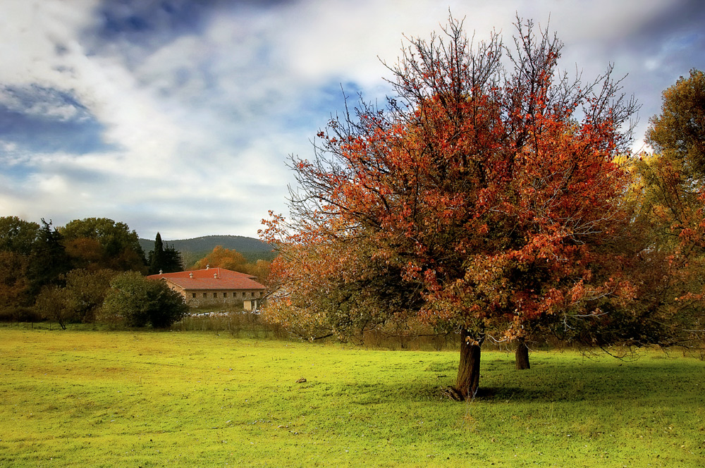 Autumnal Lanscape/ Herbstlandschaft