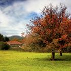 Autumnal Lanscape/ Herbstlandschaft