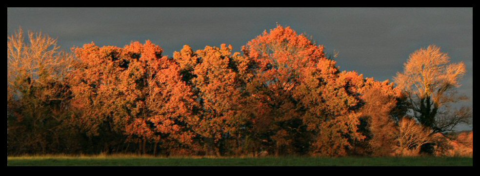 Autumnal light (revised)