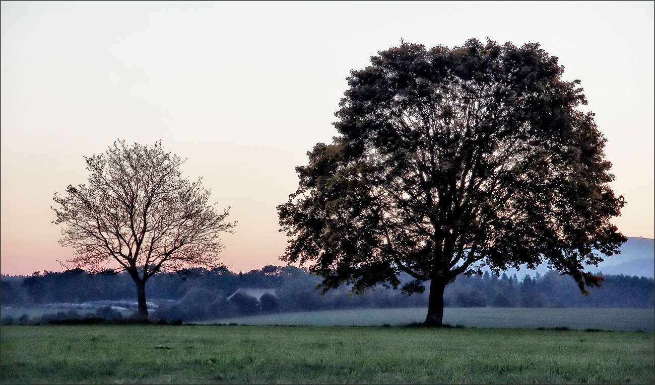 * Autumnal morning mood *