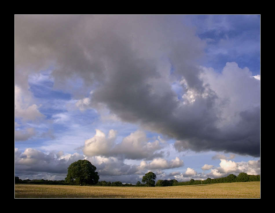 Autumnal Sky