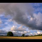 Autumnal Sky