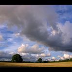 Autumnal Sky