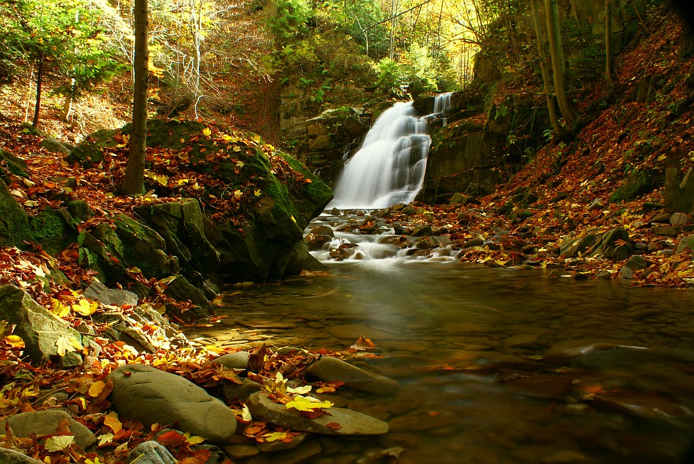 autumnal stream