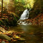 autumnal stream