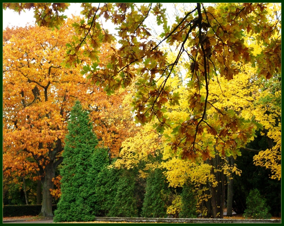 Autumnal trio