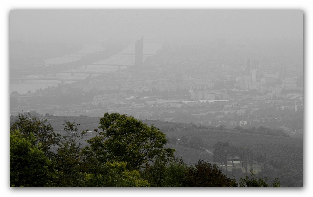 autumnal Vienna