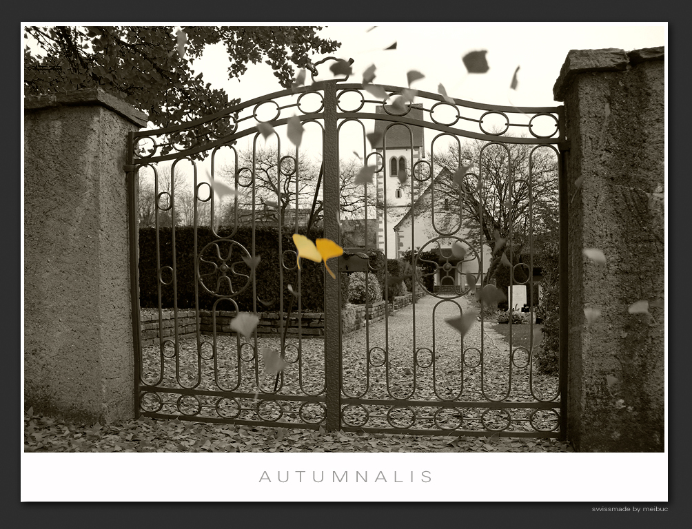 autumnalis