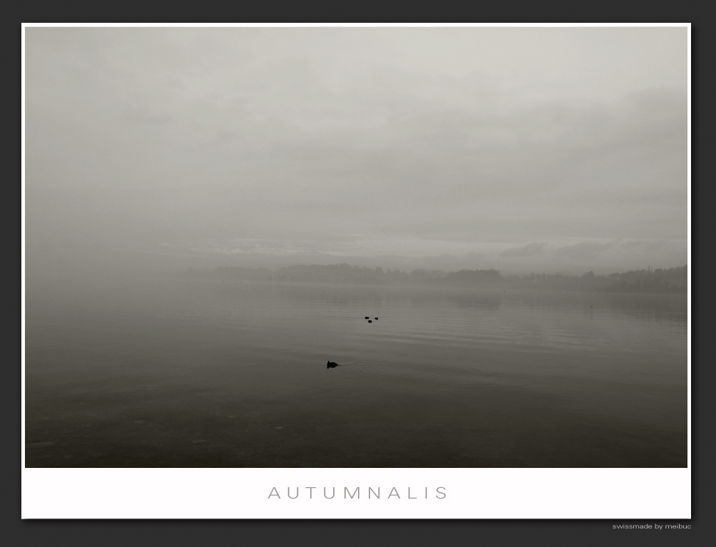 autumnalis