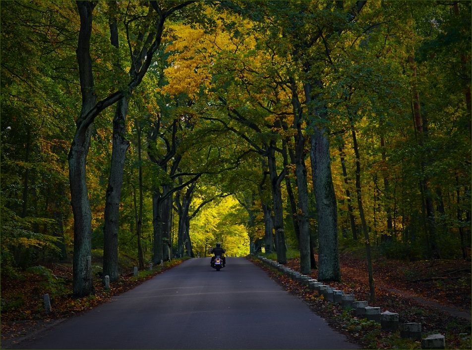 AutumnBiker