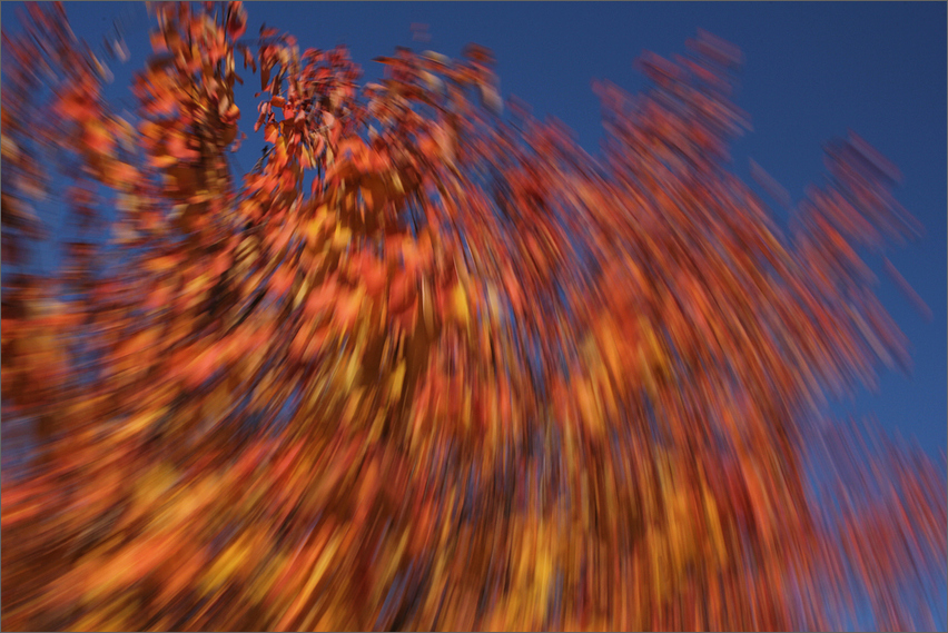 Autumndancing