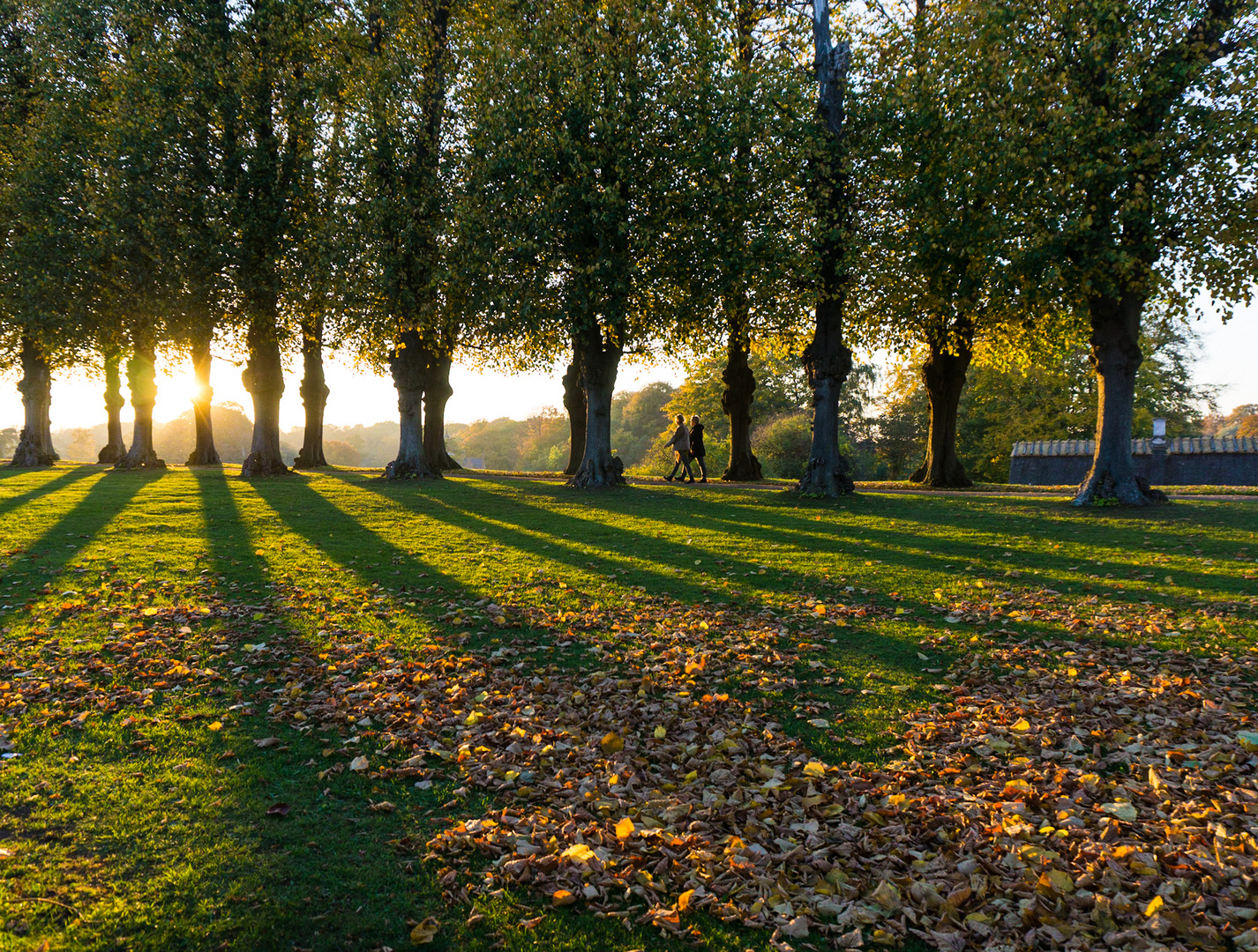 Autumn's Beauty