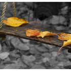 <<autumn>>><<<swings>>