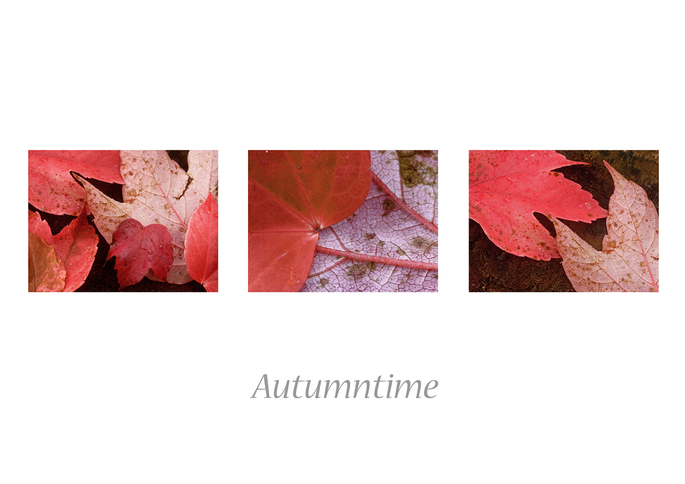 Autumntime