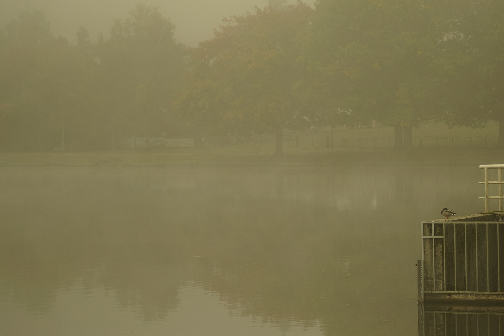 Autun, Bourgogne, See im Herbstnebel