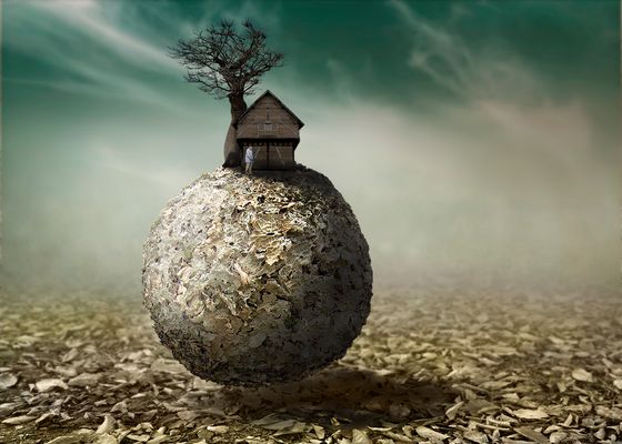 Autunm leaves colector