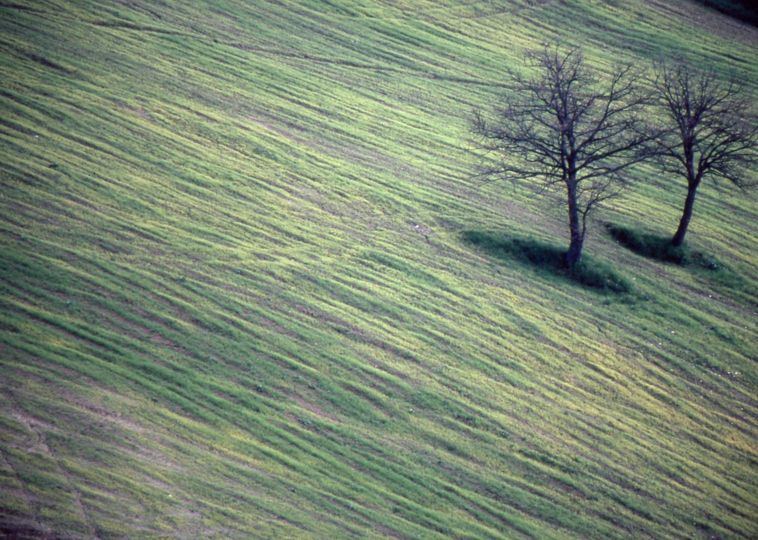 Autunno