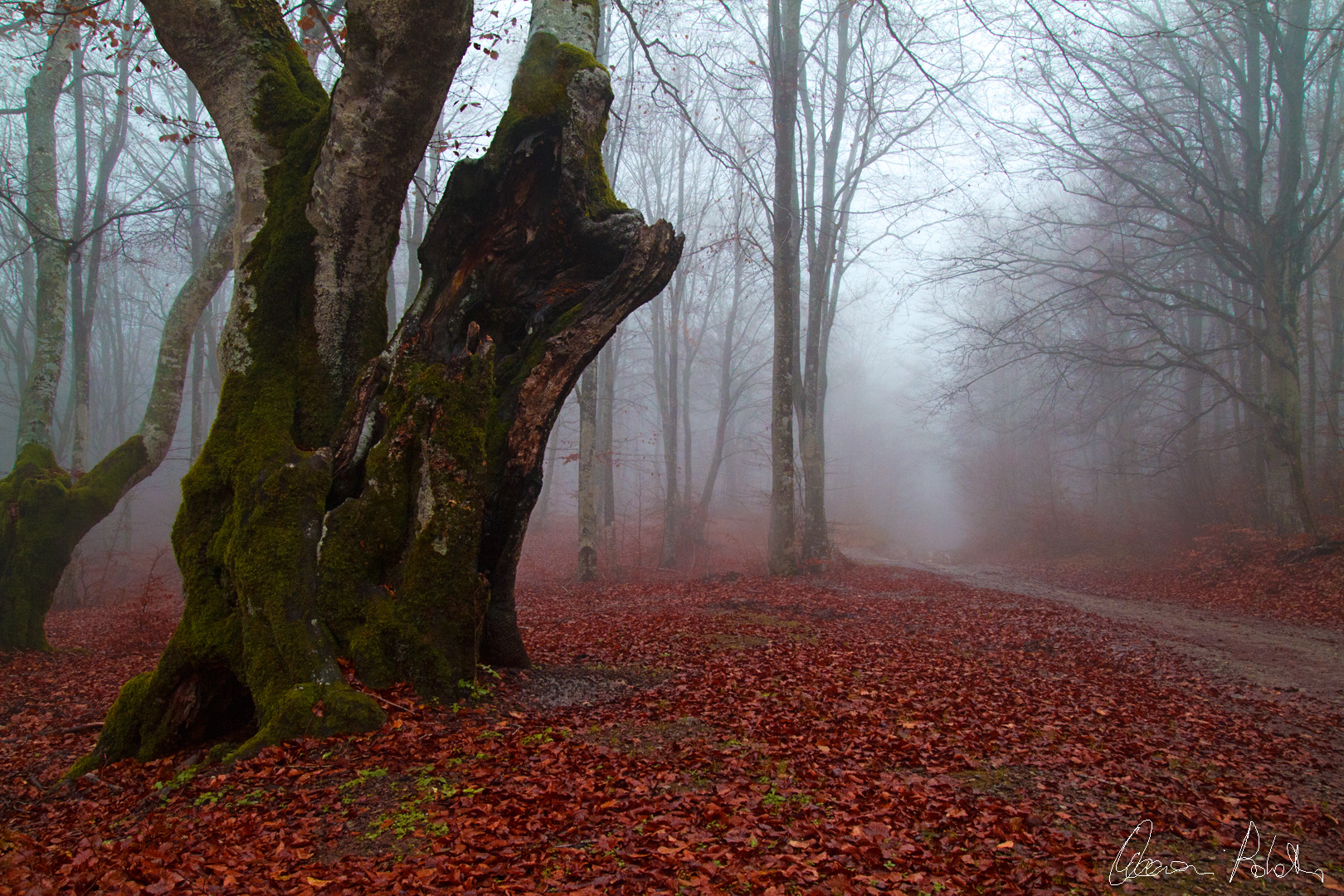 Autunno