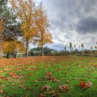 Autunno -2-