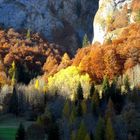 autunno 2009