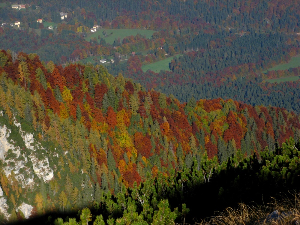 AUTUNNO