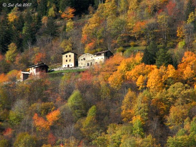 Autunno