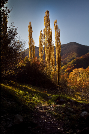 autunno