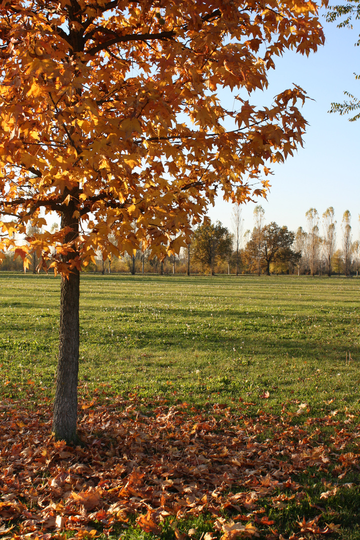 Autunno