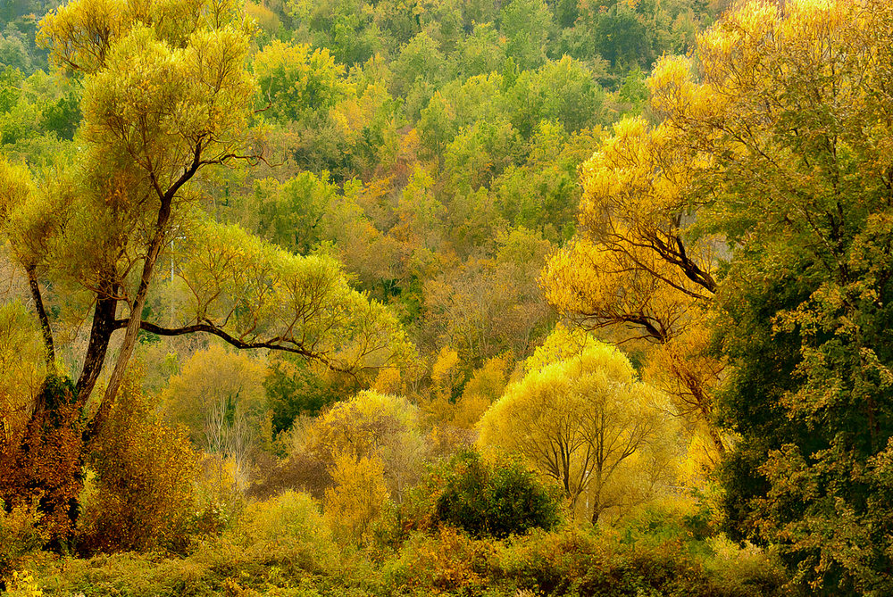 Autunno