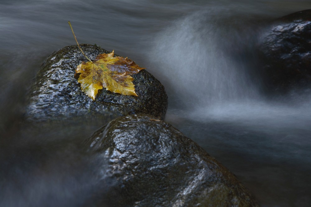 autunno