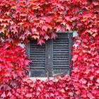 Autunno