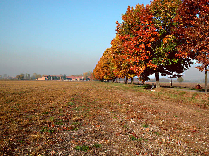 Autunno